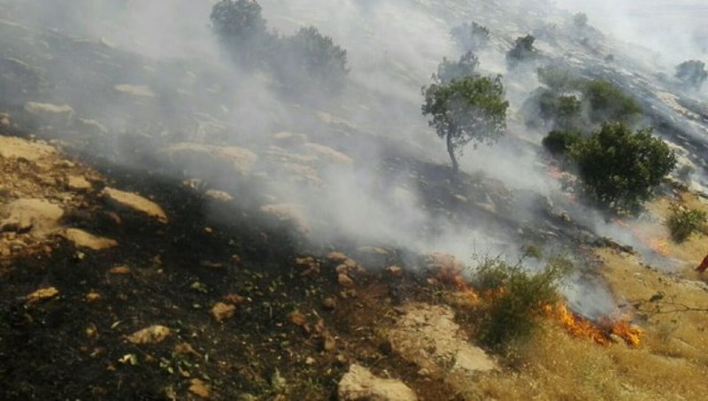 گرما و آتش غفلت در كمين مراتع آباده گرما و آتش غفلت در كمين مراتع آباده
