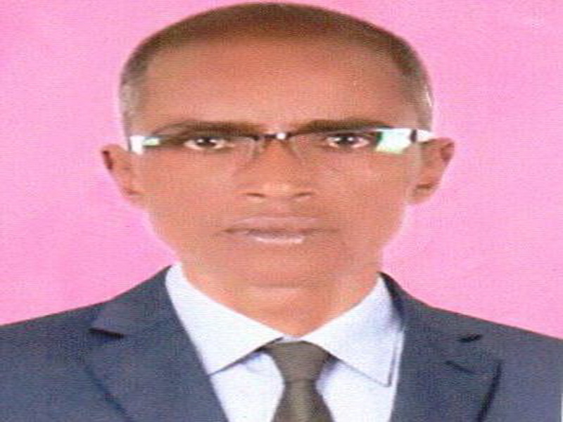 Mauritania, Iran discuss developing bilateral relations Mauritania, Iran discuss developing bilateral relations