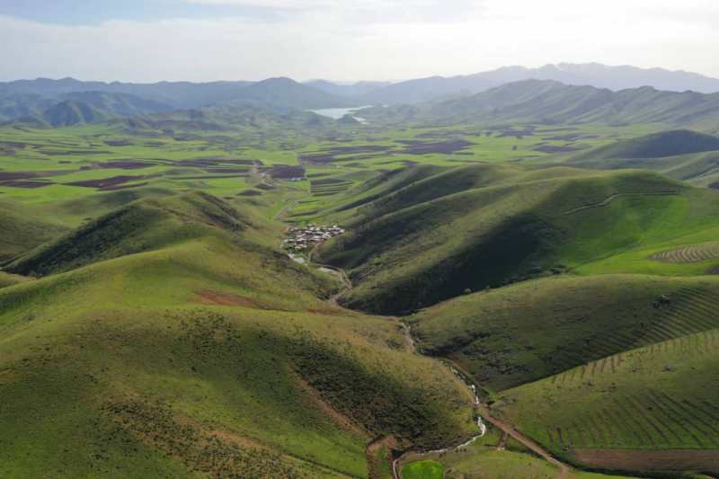 عمليات بيولوژيك آبخيزداري در مراتع كردستان اجرا شد