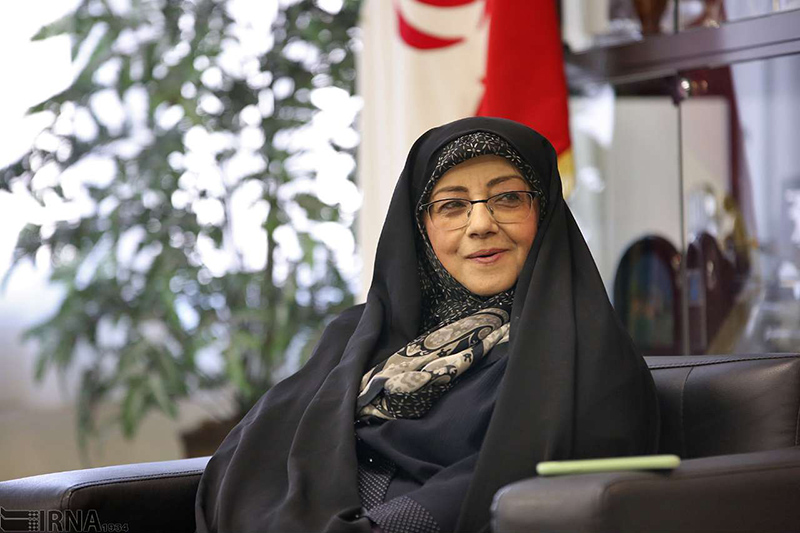 آمار دقیقی از اسناد تاریخی ایران در خارج كشور نداریم آمار دقیقی از اسناد تاریخی ایران در خارج كشور نداریم
