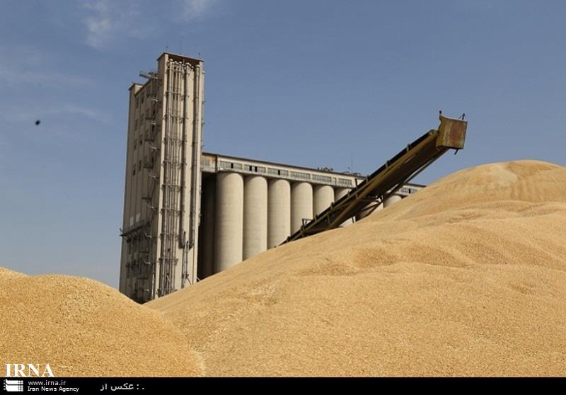 خرید گندم به نرخ تضمینی در خوزستان ركورد زد خرید گندم به نرخ تضمینی در خوزستان ركورد زد