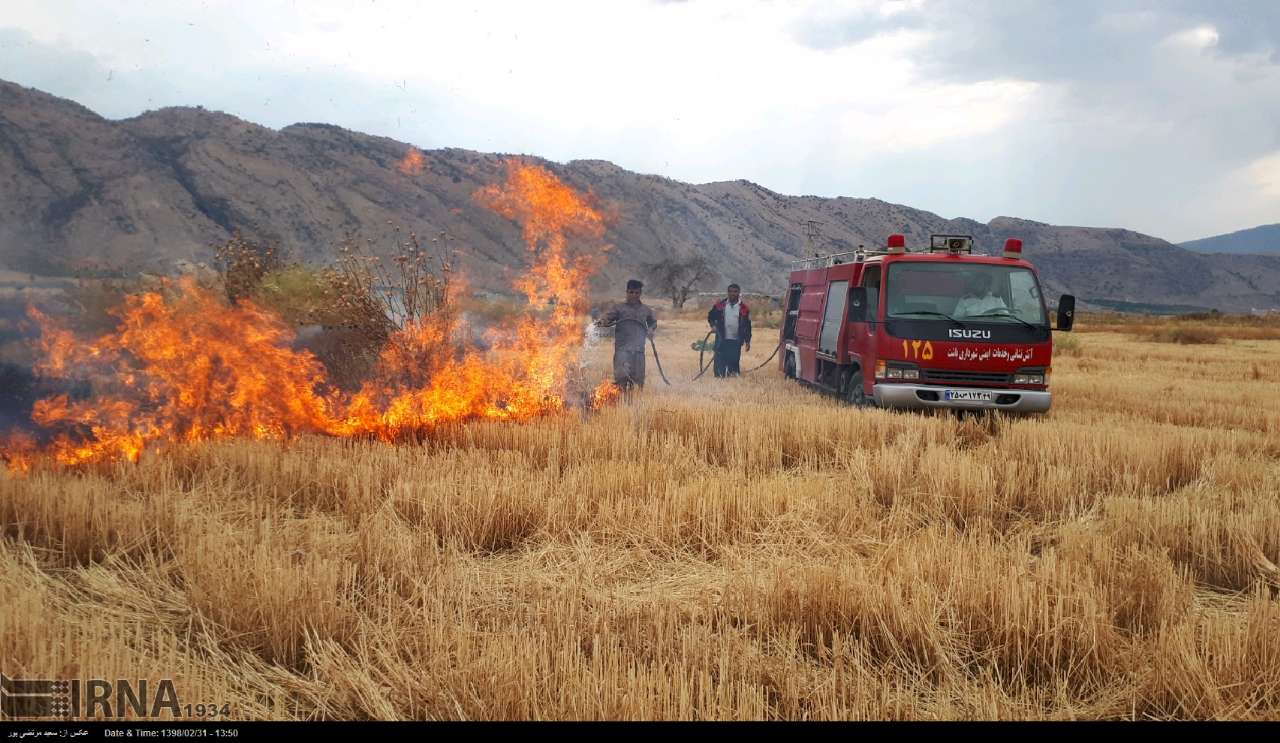 دادستان حمیدیه: سوزاندن بقایای محصولات زراعی بعد از  برداشت ممنوع است