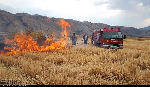 دادستان حمیدیه: سوزاندن بقایای محصولات زراعی بعد از  برداشت ممنوع است