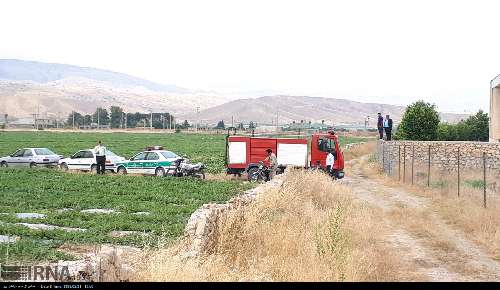 معرفی متخلفان سوزاندن بقایای محصولات کشاورزی دشت آزادگان به مراجع قضایی