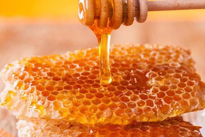 Iran ist drittgrößter Honigproduzent der Welt Iran ist drittgrößter Honigproduzent der Welt