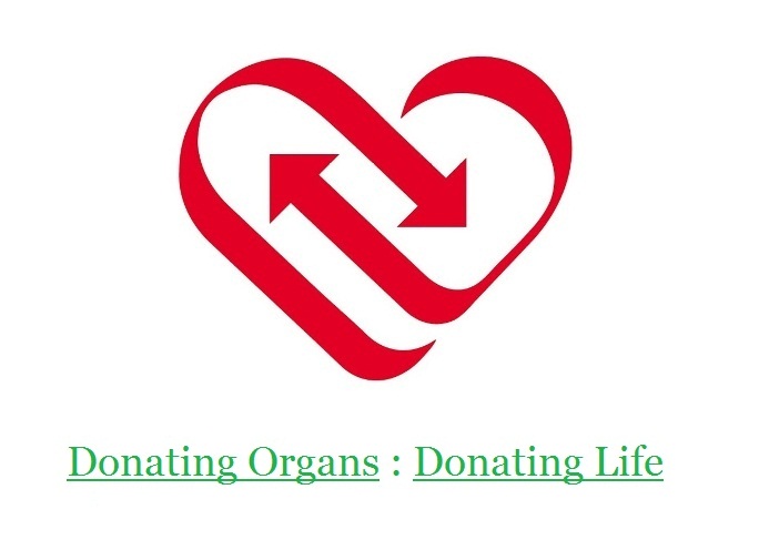 Iran topping Asia in organ donation Iran topping Asia in organ donation