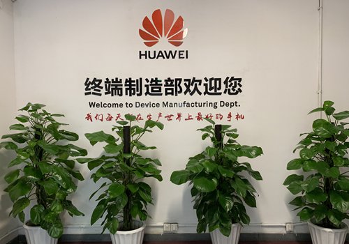 Huawei to survive pressure Huawei to survive pressure