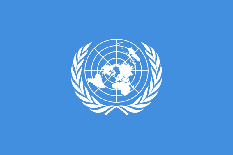 UN Chief: Earth loses 290 hectares of forests since 1990 UN Chief: Earth loses 290 hectares of forests since 1990