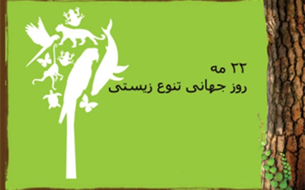 همايش روز جهاني تنوع زيستي در بندرعباس برگزار شد همايش روز جهاني تنوع زيستي در بندرعباس برگزار شد
