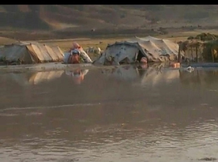 22 خانوار سيل زده عشايري سبزوار اسكان داده شدند 22 خانوار سيل زده عشايري سبزوار اسكان داده شدند