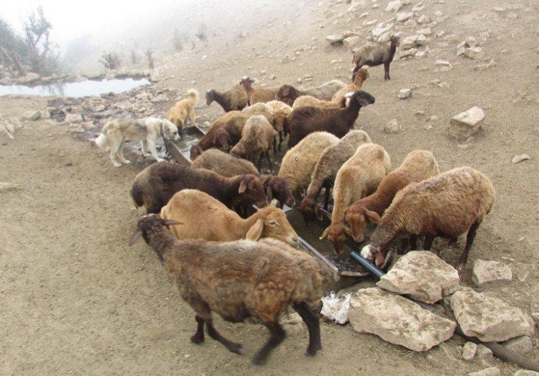 143 دستگاه آبشخور فلزی در مراتع کردستان نصب شد 143 دستگاه آبشخور فلزی در مراتع کردستان نصب شد
